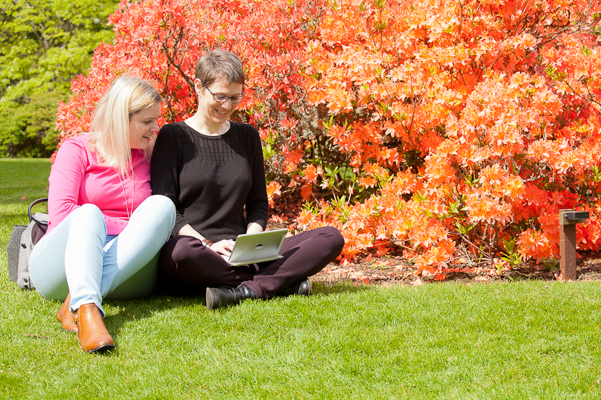 Contact me SpinTop Media