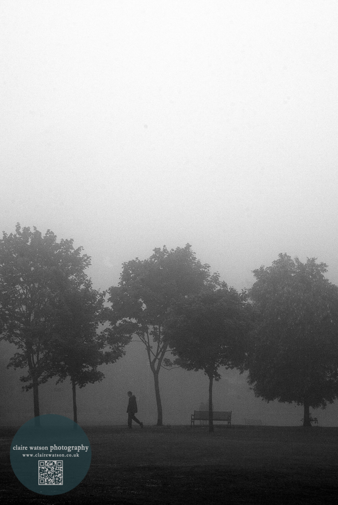 The meadows, mist, Edinburgh