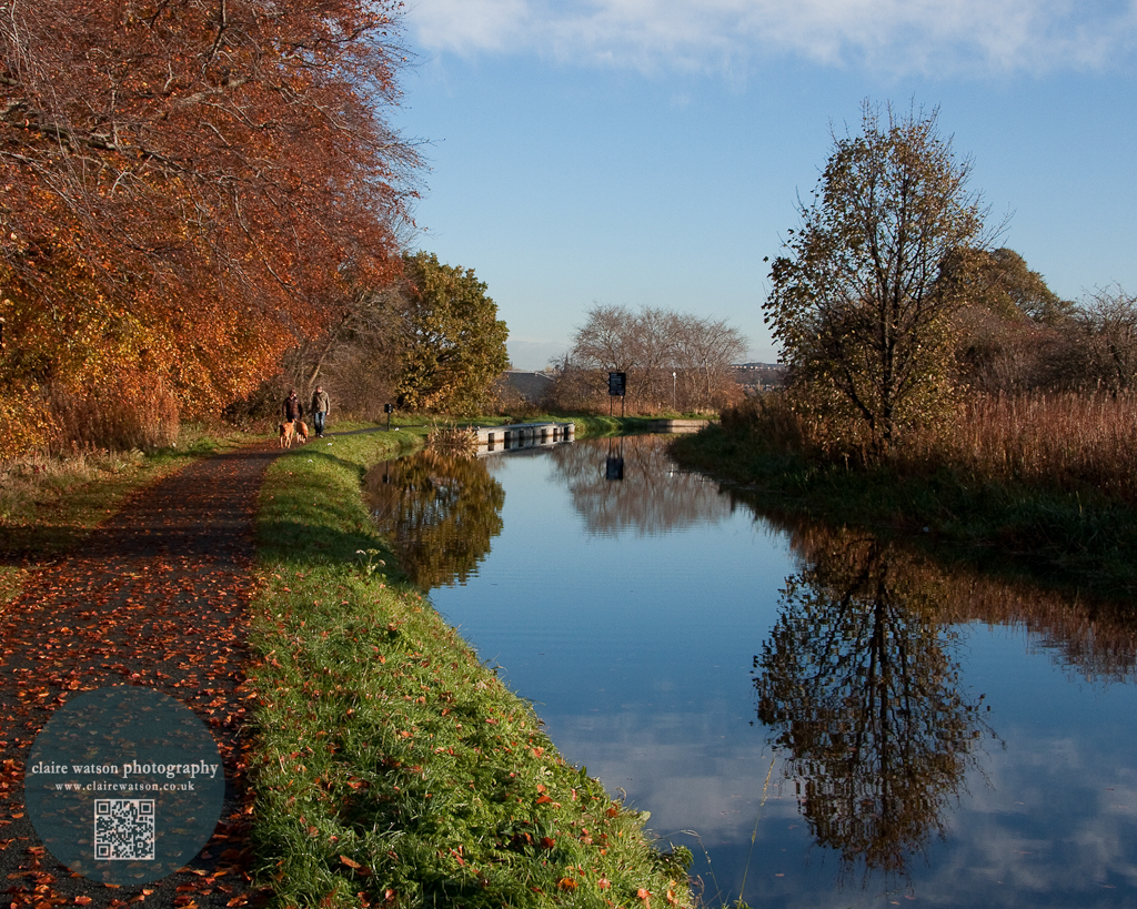 Union canal, autumn